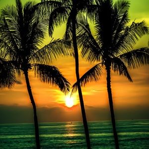 Meet your Posher, Jan